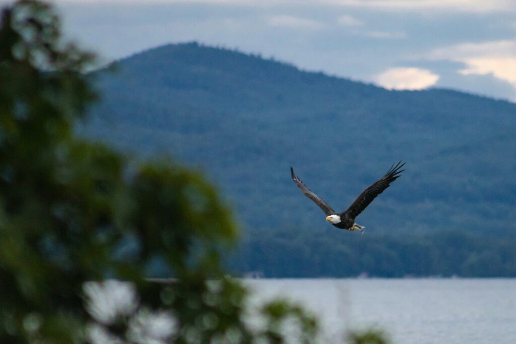 Lake George, NY: The Ultimate Adirondack Getaway